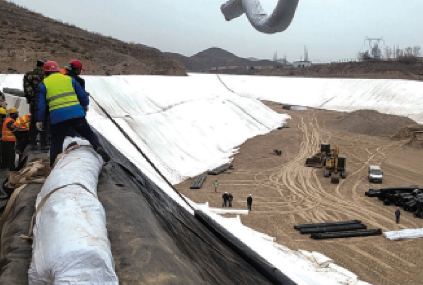 Geomembrane case