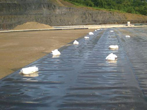 Geomembrane for lotus root ponds and fish ponds